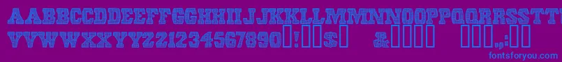 ScreendoorRegular Font – Blue Fonts on Purple Background