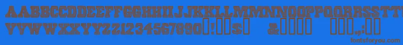 ScreendoorRegular Font – Brown Fonts on Blue Background