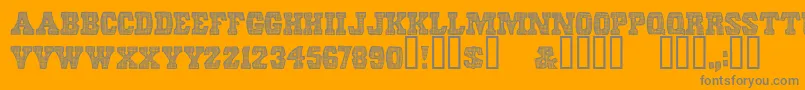 ScreendoorRegular Font – Gray Fonts on Orange Background