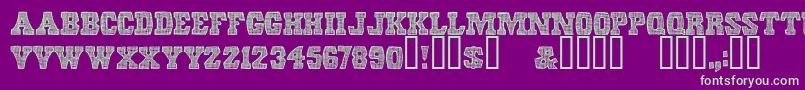 ScreendoorRegular Font – Green Fonts on Purple Background