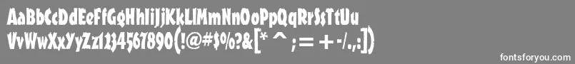 OutbackitcTt Font – White Fonts on Gray Background
