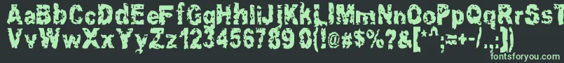 More about Hacknslash Font Hacknslash Font – Green Fonts on Black Background