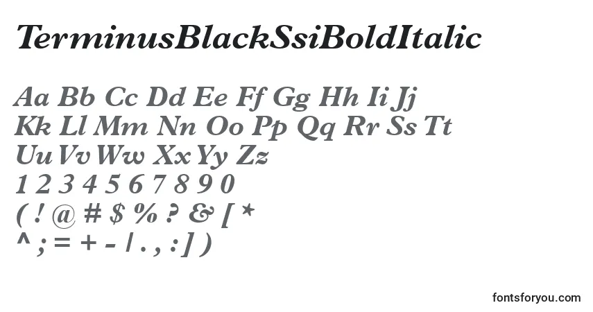Шрифт TerminusBlackSsiBoldItalic – алфавит, цифры, специальные символы