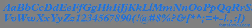 フォントTerminusBlackSsiBoldItalic – 灰色の背景に青い文字