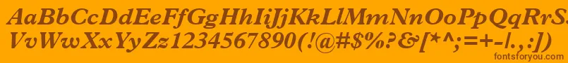 TerminusBlackSsiBoldItalic Font – Brown Fonts on Orange Background