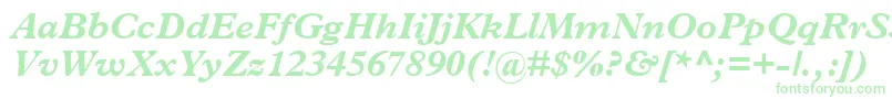 More about TerminusBlackSsiBoldItalic Font TerminusBlackSsiBoldItalic Font – Green Fonts on White Background