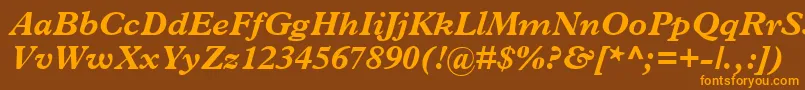 TerminusBlackSsiBoldItalic Font – Orange Fonts on Brown Background