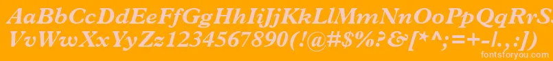 TerminusBlackSsiBoldItalic Font – Pink Fonts on Orange Background