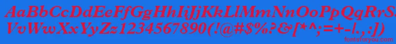 TerminusBlackSsiBoldItalic Font – Red Fonts on Blue Background