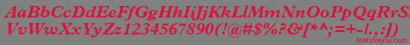 TerminusBlackSsiBoldItalic Font – Red Fonts on Gray Background