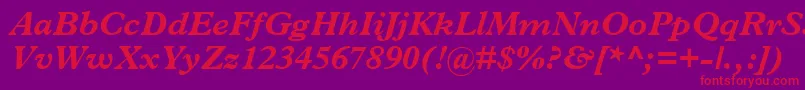 TerminusBlackSsiBoldItalic Font – Red Fonts on Purple Background