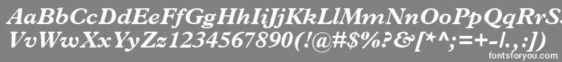 フォントTerminusBlackSsiBoldItalic – 灰色の背景に白い文字