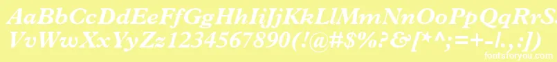 TerminusBlackSsiBoldItalic Font – White Fonts on Yellow Background