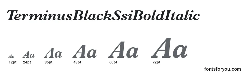 Размеры шрифта TerminusBlackSsiBoldItalic