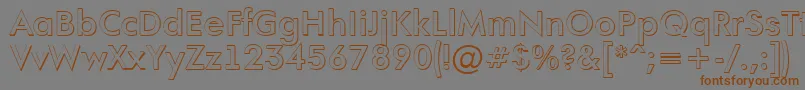 AFuturaortoshBold Font – Brown Fonts on Gray Background