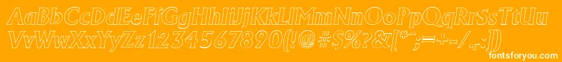 AdelonoutlineBolditalic Font – White Fonts on Orange Background