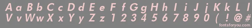 FuturistfixedwidthBoldItalic Font – Pink Fonts on Gray Background