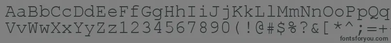 Rol.Koi8Courier Font – Black Fonts on Gray Background