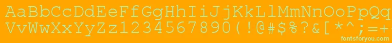 Rol.Koi8Courier Font – Green Fonts on Orange Background