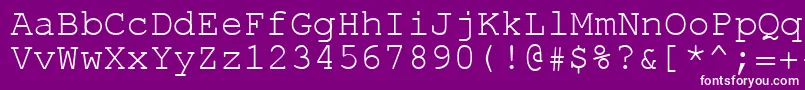 フォントRol.Koi8Courier – 紫の背景に白い文字