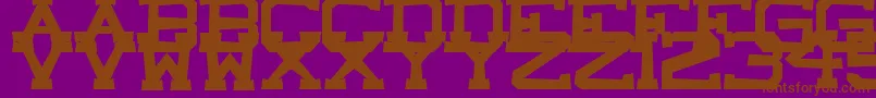 CastleRock Font – Brown Fonts on Purple Background