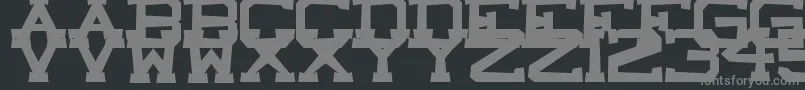 Czcionka CastleRock – szare czcionki na czarnym tle