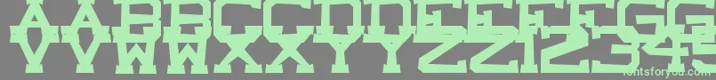 Czcionka CastleRock – zielone czcionki na szarym tle