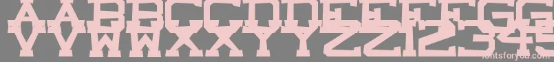 Weitere Informationen zur CastleRock-Schriftart CastleRock-Schriftart – Rosa Schriften auf grauem Hintergrund