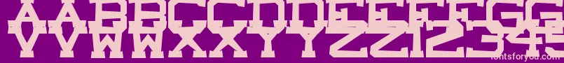 CastleRock Font – Pink Fonts on Purple Background