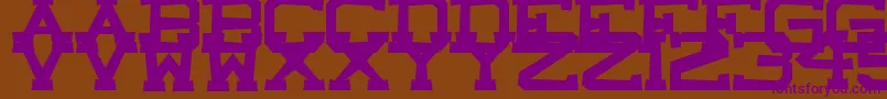 CastleRock Font – Purple Fonts on Brown Background