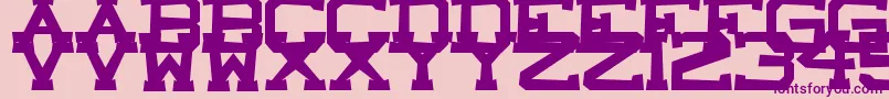 CastleRock Font – Purple Fonts on Pink Background