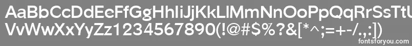 PhinsterBold Font – White Fonts on Gray Background