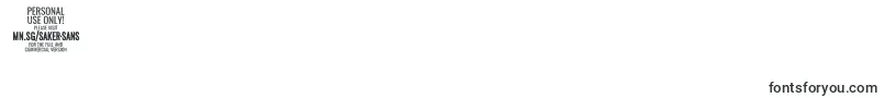 SakersansmediumPersonalUse Font – Fonts for Digit 1