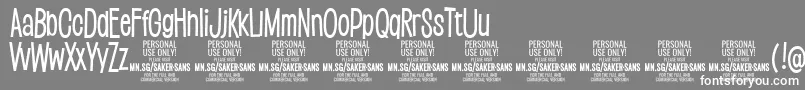 SakersansmediumPersonalUse Font – White Fonts on Gray Background