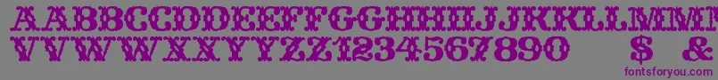 WildWestWind Font – Purple Fonts on Gray Background