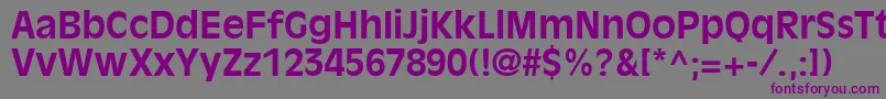 AntiqueolivestdBold Font – Purple Fonts on Gray Background