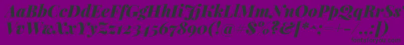 PlayfairdisplayBlackitalic Font – Black Fonts on Purple Background