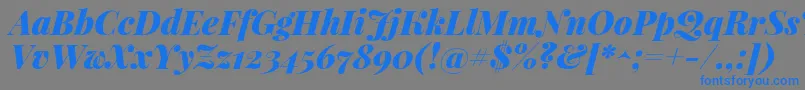 PlayfairdisplayBlackitalic-Schriftart – Blaue Schriften auf grauem Hintergrund