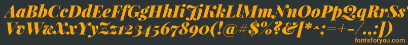 フォントPlayfairdisplayBlackitalic – 黒い背景にオレンジの文字