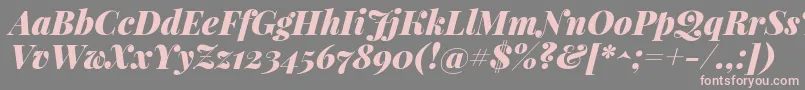 PlayfairdisplayBlackitalic-Schriftart – Rosa Schriften auf grauem Hintergrund