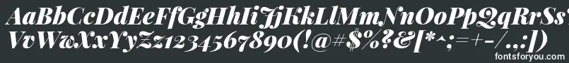 フォントPlayfairdisplayBlackitalic – 白い文字