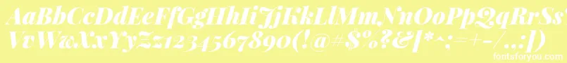 PlayfairdisplayBlackitalic Font – White Fonts on Yellow Background