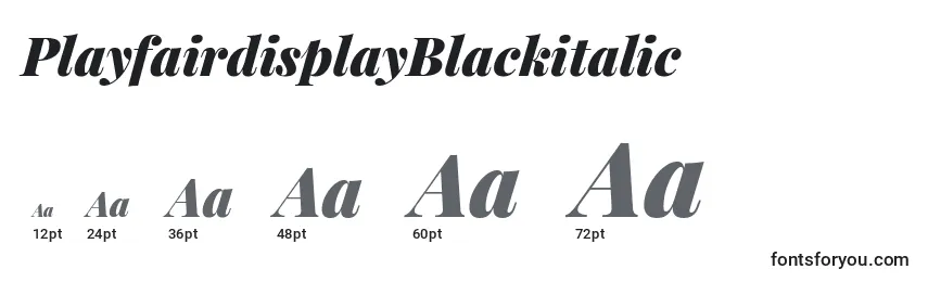 Размеры шрифта PlayfairdisplayBlackitalic