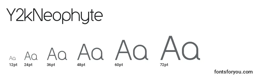Размеры шрифта Y2kNeophyte
