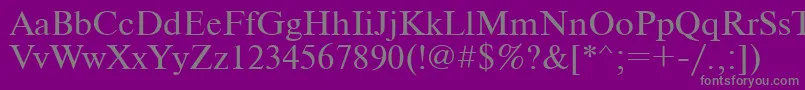 Ukrainiantimeset Font – Gray Fonts on Purple Background