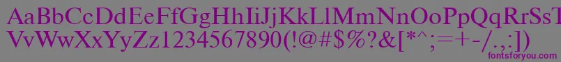 Ukrainiantimeset Font – Purple Fonts on Gray Background