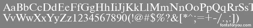 フォントUkrainiantimeset – 灰色の背景に白い文字