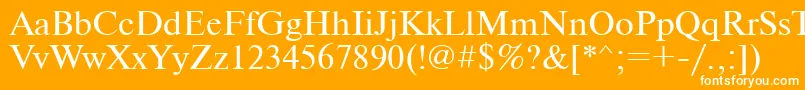 Ukrainiantimeset Font – White Fonts on Orange Background