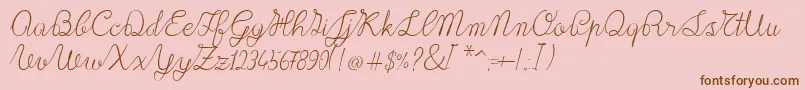 Lace1.0 Font – Brown Fonts on Pink Background