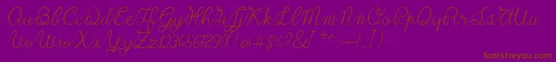 Lace1.0-Schriftart – Braune Schriften auf violettem Hintergrund